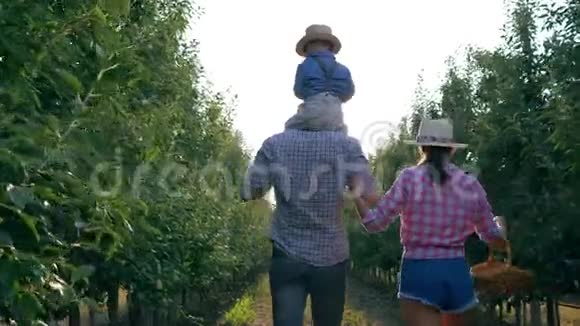 园艺年轻的农业家庭在收割时穿过苹果园视频的预览图