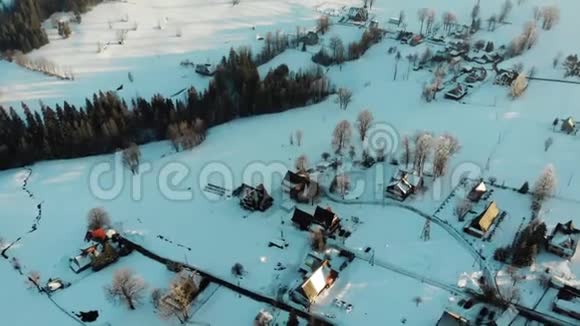 从白色乡村地形上的房屋上方俯瞰阳光下的绿树视频的预览图