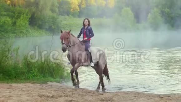 清晨在雾中骑着一匹马走出水面视频的预览图