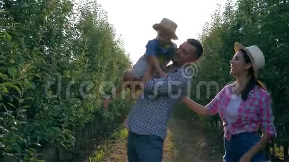 丰收季节一家又一家的农民和小儿子在果园散步视频的预览图