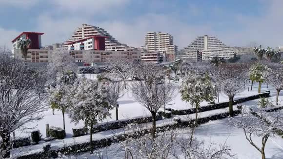 斯坎皮亚的雪那不勒斯视频的预览图