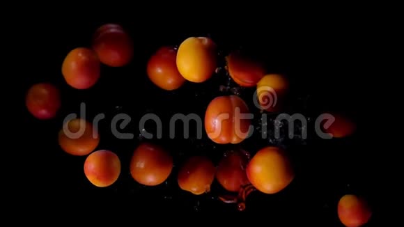 水弹着相机的杏子视频的预览图