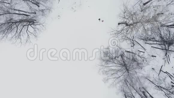 空中男人和女人在冬天穿过树林视频的预览图