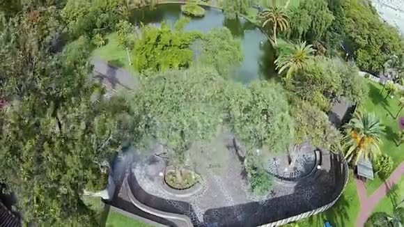 公园里的小池塘许多树和小巷FunchalMadeira视频的预览图