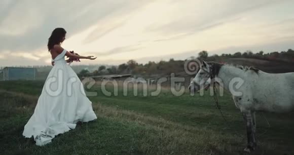 完美的视野与新娘和白色美丽的马在大自然的中间4k视频的预览图