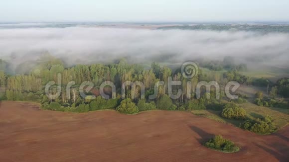 日出后有树林和田野的薄雾晨景空中视频的预览图