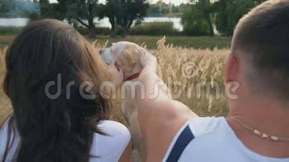 年轻夫妇坐在草地上抚摸他的拉布拉多犬一家人和他的宠物一起在大自然中度过时光视频的预览图