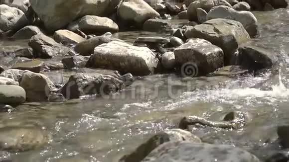 阳光明媚的山河慢动作视频的预览图