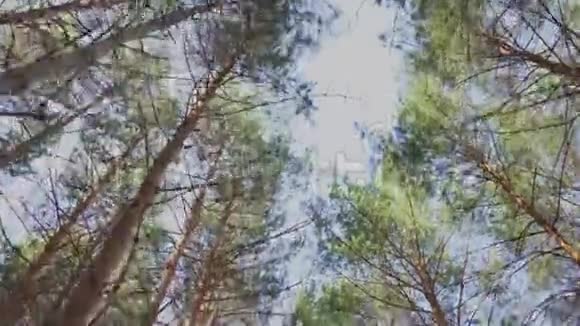 相机进入森林小径被夕阳击中视频的预览图