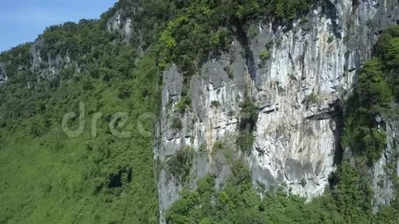 靠近空中灰白色石崖上面有植物视频的预览图