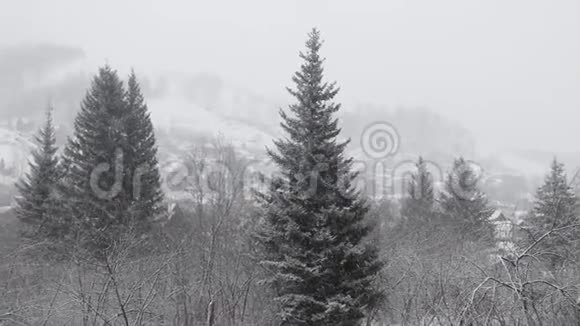 白雪覆盖着白雪的冬日乡村视频的预览图