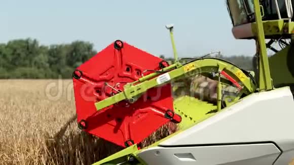联合收割机在麦田作业收获是从田里收获成熟作物的过程项目视频的预览图