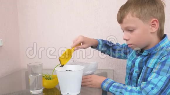 植物护理理念男孩正在种植家庭植物用一个小小的炫耀把地球移到一个罐子里侧视视频的预览图