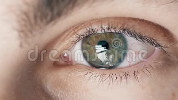 灰色绿色黄色的人眼的小男孩看着相机特写视频的预览图