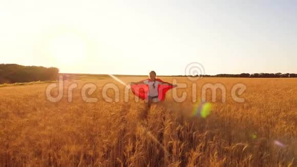 女孩扮演超级英雄孩子穿着红色斗篷跑过田野蓝天下有小麦慢动作视频的预览图