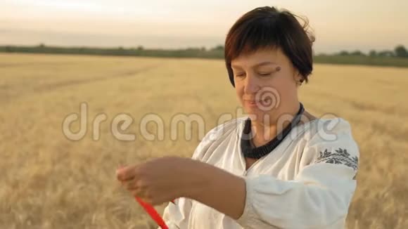 慢动作特写穿着全国衬衫的女人用红丝带围着被撕裂的小麦穗子在早晨视频的预览图