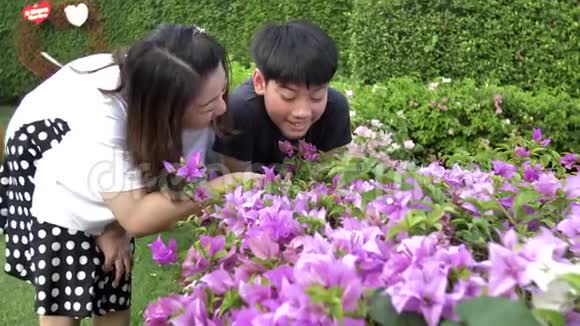 快乐的亚洲家庭母子看着粉红色的花记录手持式慢速运动在4K在60fps视频的预览图