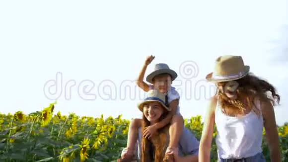 在农村幸福的年轻家庭在收获时漫步在向日葵田视频的预览图