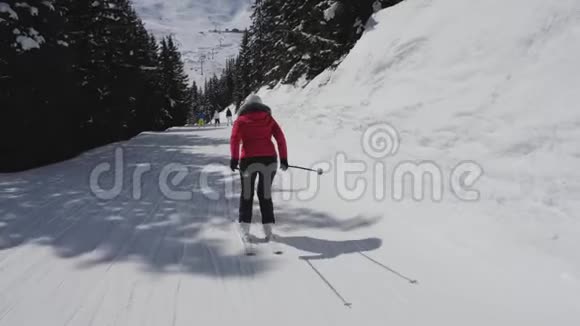 运动后景运动女滑雪者在松林中滑雪坡滑雪视频的预览图