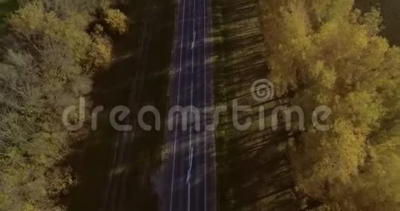 秋季森林空中飞越公路视频的预览图