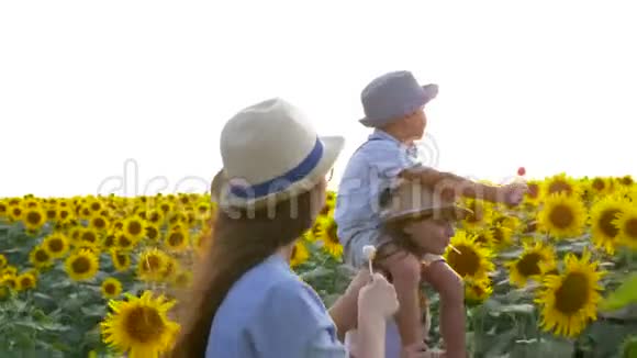 快乐的孩子们在阳光下和向日葵一起在美丽的黄色田野散步时一边吃着糖果视频的预览图