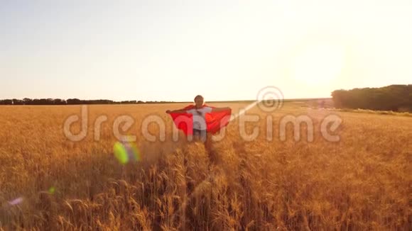 孩子穿着红色斗篷跑过田野蓝天下有小麦女孩扮演超级英雄慢动作视频的预览图
