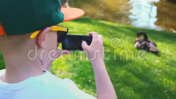 5岁男孩用手机拍下了黑天鹅坐在池塘边的草地上视频的预览图