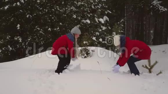 孩子们在松冬雪地公园玩雪球通过雪堆和笑声女孩在冬天在雪地里玩耍圣诞节视频的预览图