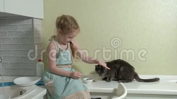 美丽的小女孩穿着围裙在明亮的厨房里坐在台面上喂猫帮助父母视频的预览图
