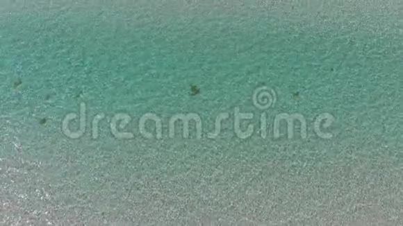 黑海海岸的天堂泻湖浅水中的阳光晴天和空绿松石海视频的预览图