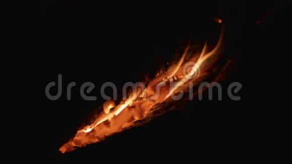 在夜晚篝火中的原木之间视频的预览图