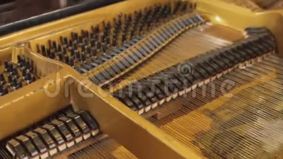 钢琴钢琴的内在机制视频的预览图