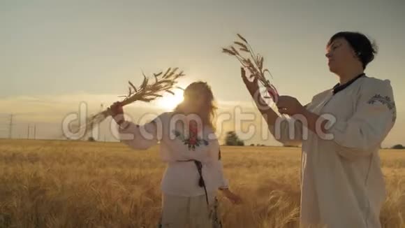 两个美丽而不年轻的女人站在田野上看着被红丝带束缚的麦穗手交流视频的预览图