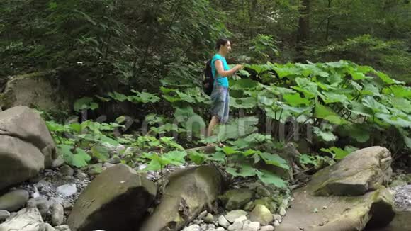 徒步旅行美丽的女人带着背包用智能手机在山河上拍照大石头和绿色的苔藓视频的预览图