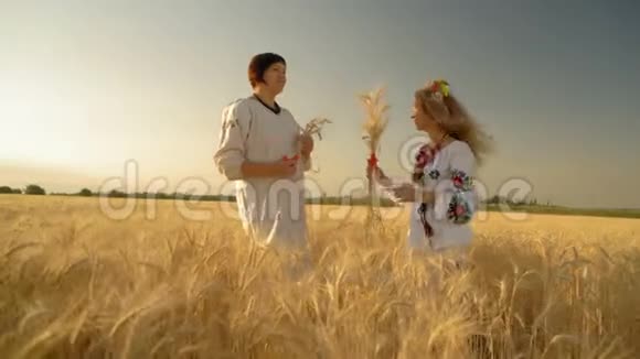 两个美丽的女人欢乐的谈话站在麦田的中央手里拿着麦穗视频的预览图