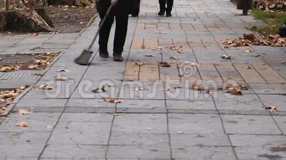 秋天看门人在街上收拾了扫干的树叶视频的预览图