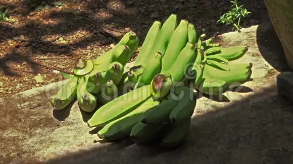 香蕉落地视频的预览图