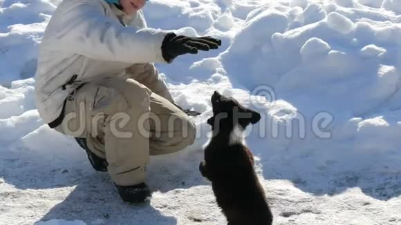 男孩少年在雪地里玩小狗视频的预览图