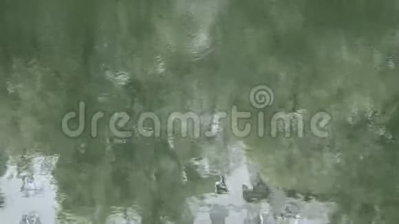 池塘水面上的涟漪视频的预览图