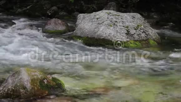 山河在森林中流动视频的预览图