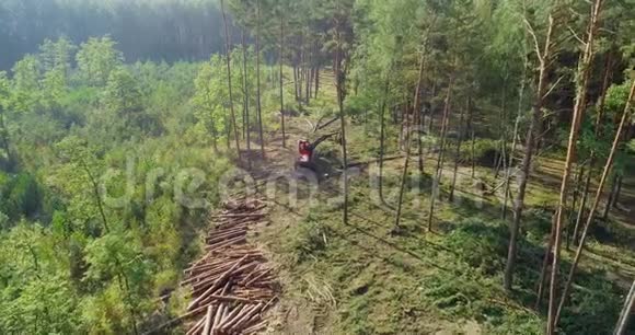 森林收割机将木材切割成零件森林收割机鸟瞰图视频的预览图