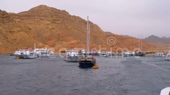 码头船和游艇在埃及沙漠的山脉背景视频的预览图