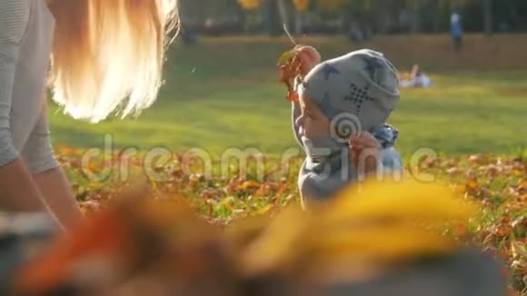 年轻的母亲坐在草地上和她的小儿子在公园里玩玩弄秋叶阳光视频的预览图