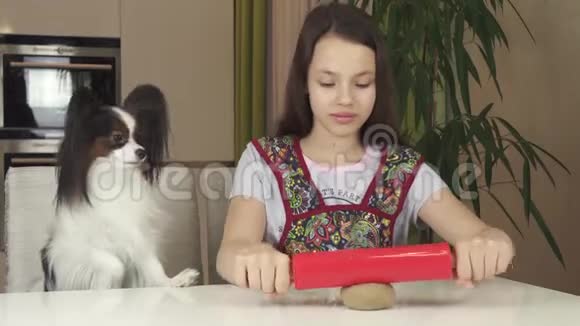 少女和狗狗帕皮隆准备饼干滚动面团与滚动针股票视频视频的预览图