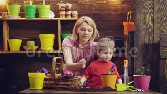 可爱的孩子帮助他的母亲照顾植物母亲和儿子从事园艺春天的概念自然视频的预览图