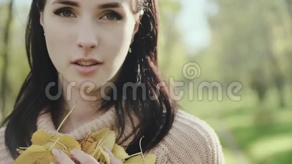 年轻漂亮女人的肖像布鲁内特穿毛衣的女孩和她手中的秋叶慢动作视频的预览图
