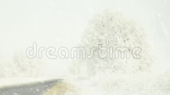 白雪皑皑的冬日草甸路视频的预览图