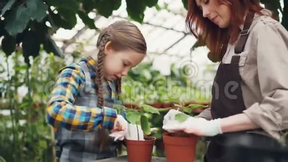 细心的母亲专业的园丁正在教她的女儿用小铲子在花盆里锄土视频的预览图