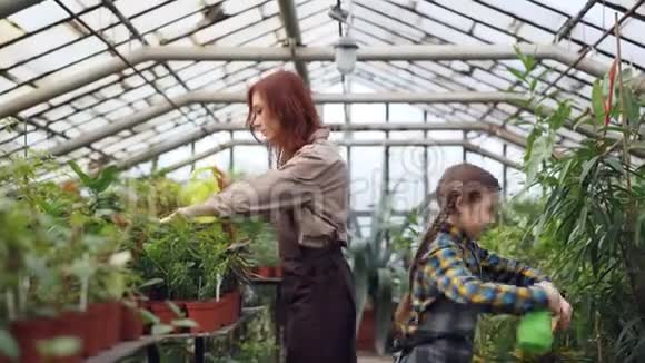 快乐的温室工作人员正在给工作场所的植物浇水和她乐于助人的女儿一起一边和孩子聊天一边很小视频的预览图