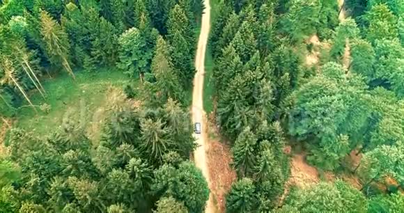 鸟瞰飞越老补丁两车道森林道路与汽车移动绿树密林生长两侧视频的预览图